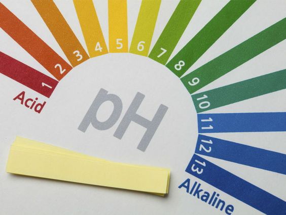 Level pH dalam Shampoo